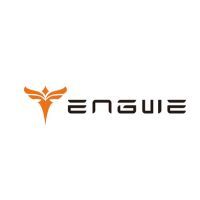 Engwe Bike EU